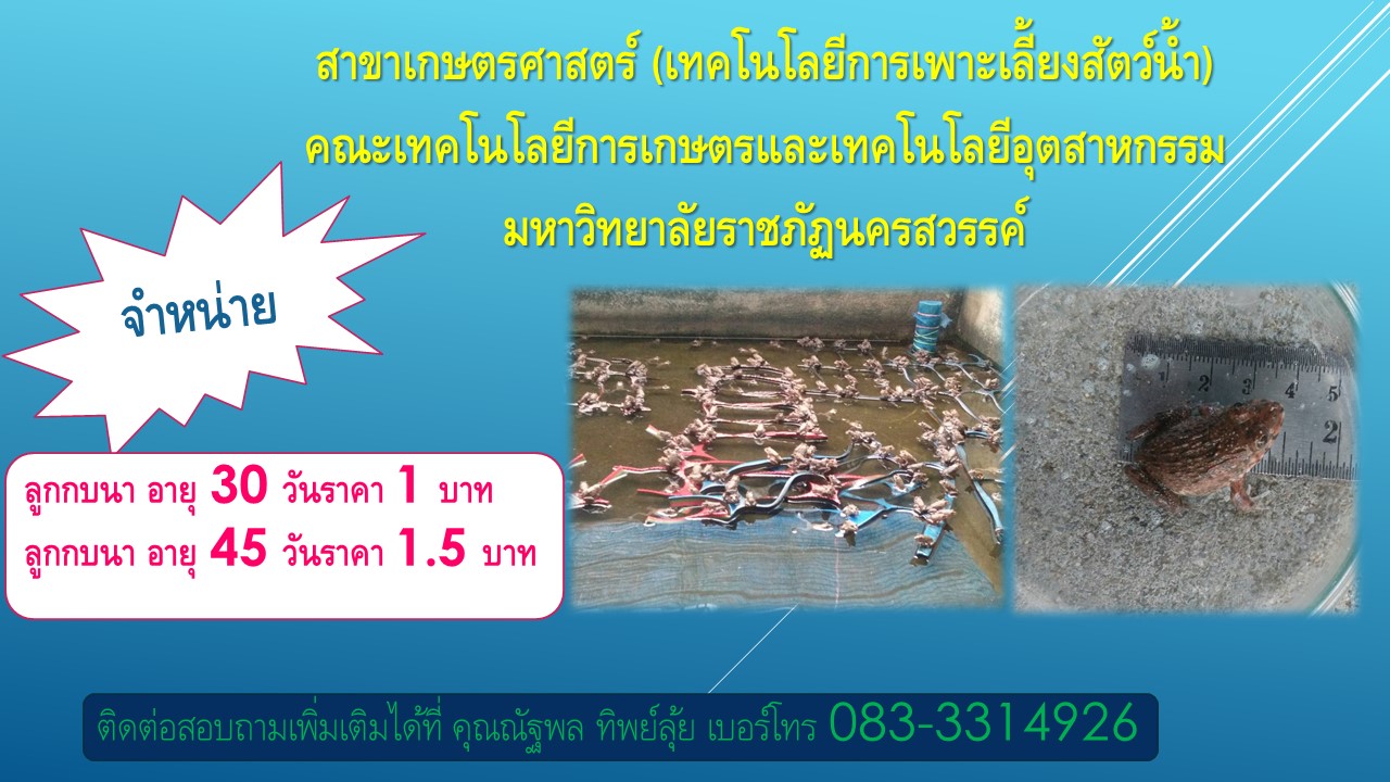 สาขาเกษตรศาสตร์ (เทคโนโลยีการเพาะเลี้ยงสัตว์น้ำ) จำหน่ายลูกกบนา