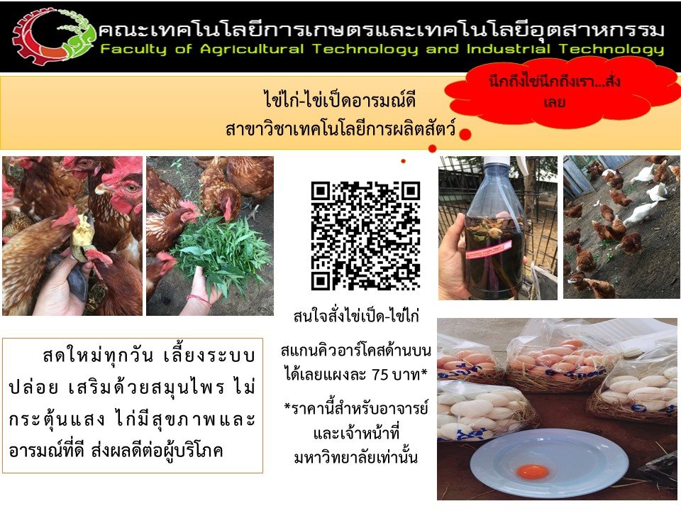 จำหน่ายไข่ไก่-ไข่เป็ด อารมณ์ดี สาขาวิชาเกษตรศาสตร์(เทคโนโลยีการผลิตสัตว์)